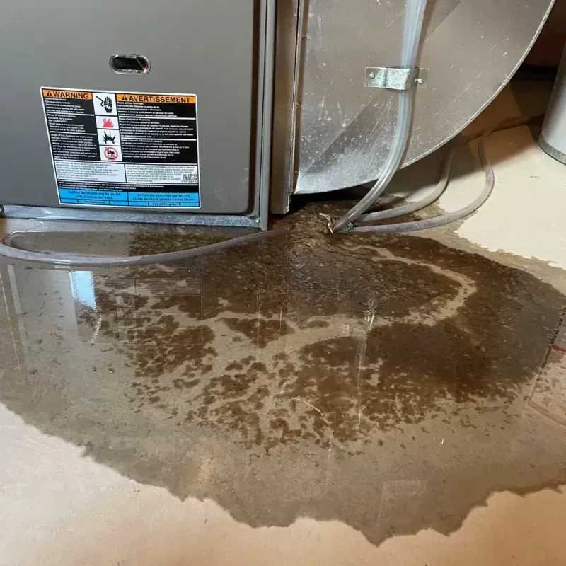 Appliance Leak Cleanup in Old Westbury, NY